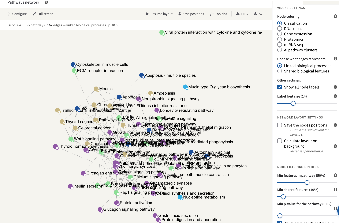 The pathways network