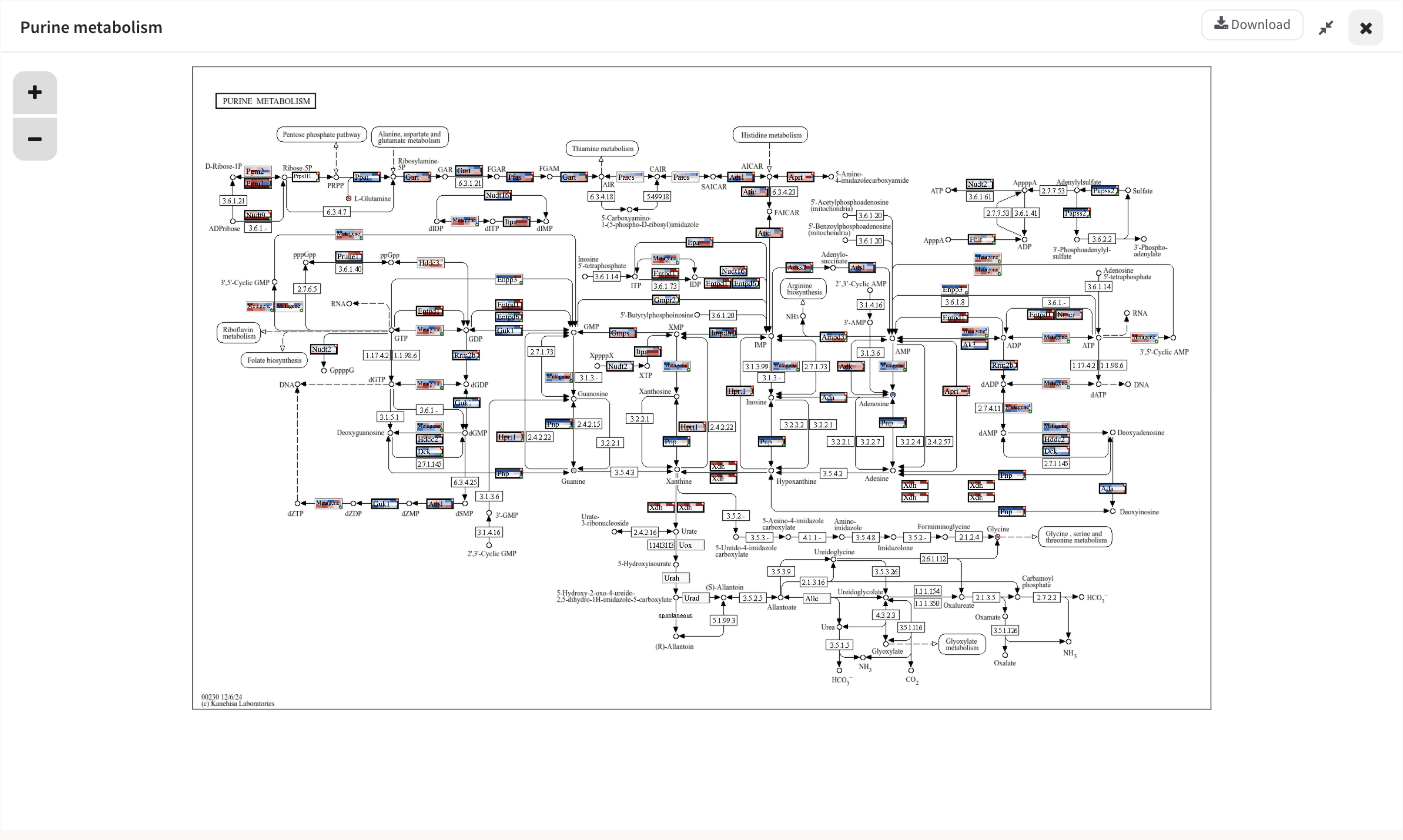 A painted KEGG map filling the diagram panel